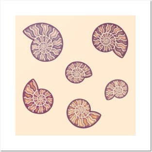 Fossilized Ammonites 1 Posters and Art